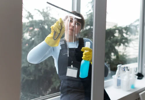 Nettoyage de vitres intérieures et extérieures à la Rochénard